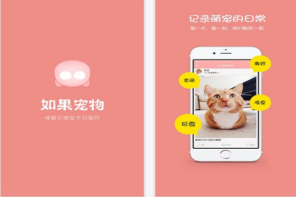 寵物APP開(kāi)發(fā) 寵物APP開(kāi)發(fā)